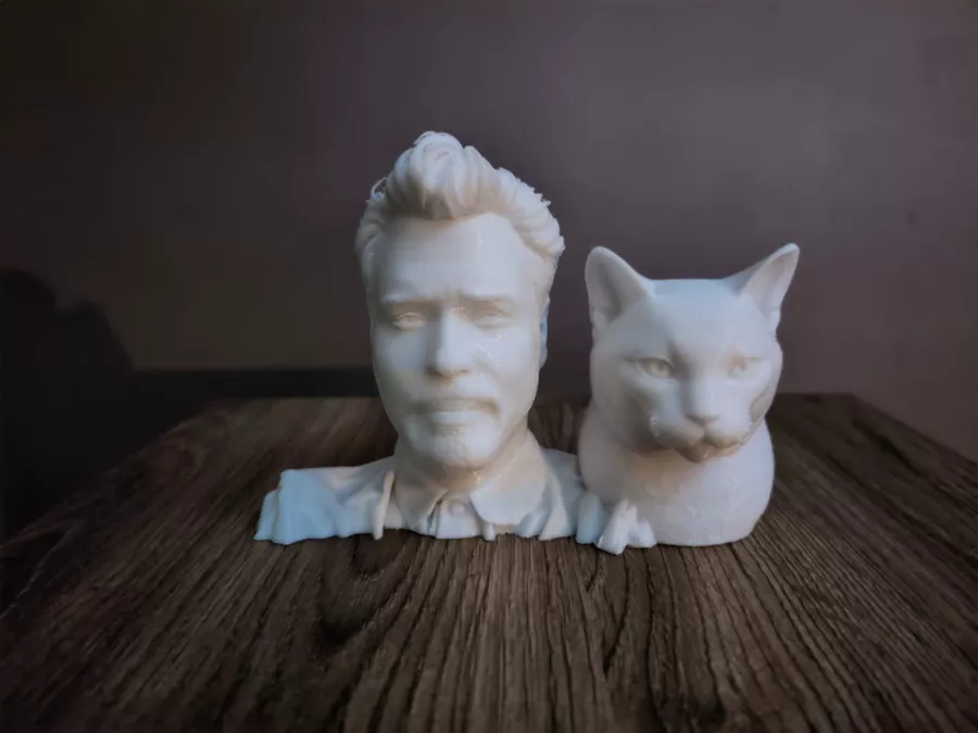 Buste personnalisé avec chat imprimé en 3D