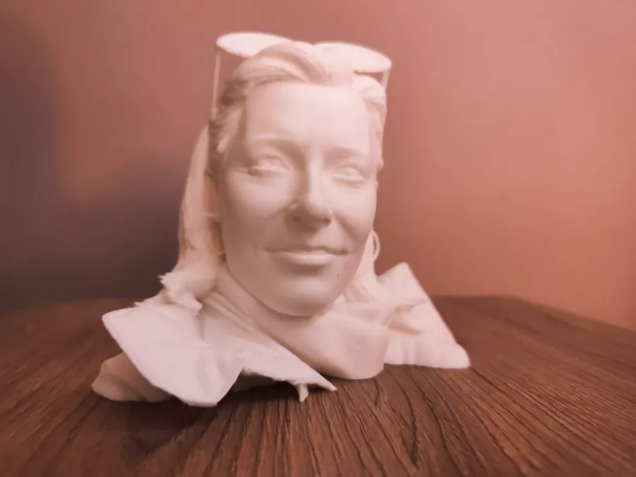 Buste portrait masculin imprimé en 3D